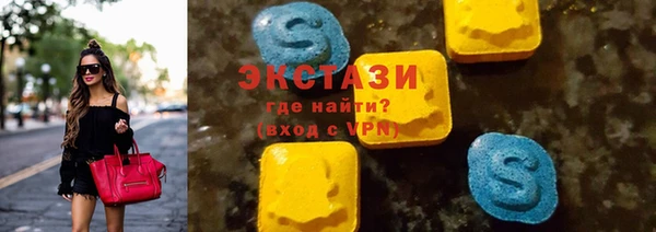 дживик Богородск