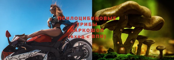 гидра Беломорск