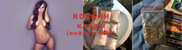 дживик Богородск