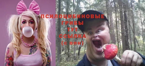 гидра Беломорск