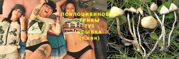 прущий лед Богородицк
