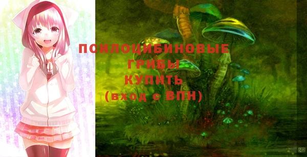 хмурый Пересвет