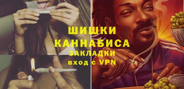 ПСИЛОЦИБИНОВЫЕ ГРИБЫ Белокуриха
