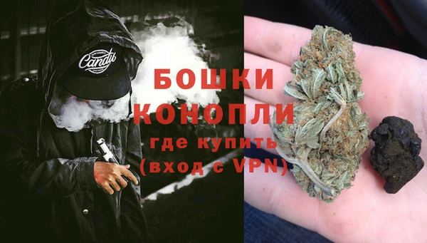 дживик Богородск