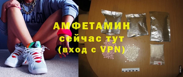 дживик Богородск