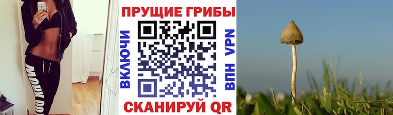Псилоцибиновые грибы мухоморы  Белоусово 